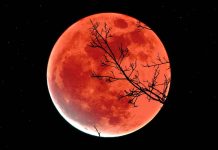 Šest minuta tame: NASA otkrila detalje najdužeg pomračenja stoljeća Šest minuta tame: NASA otkrila detalje najdužeg pomračenja stoljeća