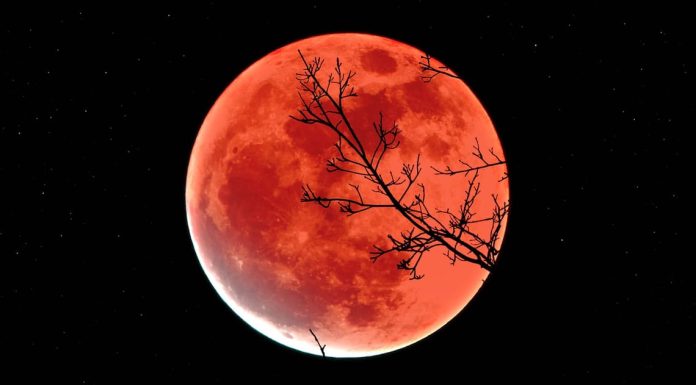 Šest minuta tame: NASA otkrila detalje najdužeg pomračenja stoljeća Šest minuta tame: NASA otkrila detalje najdužeg pomračenja stoljeća