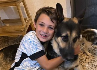 Ubio dijete, zatim sebe raznio plinom – Horor u Tomaru potresao Evropu Ubio dijete, zatim sebe raznio plinom – Horor u Tomaru potresao Evropu