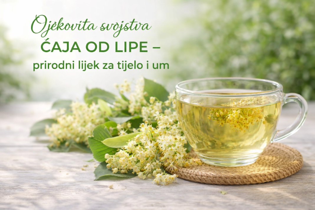 Ljekovita svojstva čaja od lipe – prirodni lijek za tijelo i um