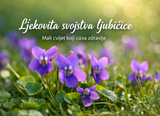 Zašto je ljubičica pravo blago prirode? Ljekovita svojstva koja iznenađuju Zašto je ljubičica pravo blago prirode? Ljekovita svojstva koja iznenađuju