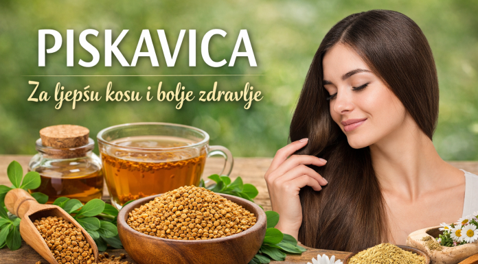 Piskavica od glave do pete: Prirodni lijek za kosu, kožu i organizam Piskavica od glave do pete: Prirodni lijek za kosu, kožu i organizam