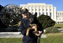 Dok svijet raspravlja, on čuva mir: Thor, pas u službi UN-a