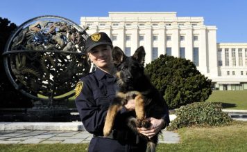 Dok svijet raspravlja, on čuva mir: Thor, pas u službi UN-a