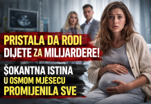 Pristala je da rodi dijete za milijardere da bi spasila sestru – istina iz osmog mjeseca šokirala je cijeli svijet Pristala je da rodi dijete za milijardere da bi spasila sestru – istina iz osmog mjeseca šokirala je cijeli svijet