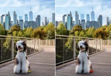 Vidite li ono što drugi ne vide? Testirajte svoje oči i mozak u samo jednoj minuti Vidite li ono što drugi ne vide? Testirajte svoje oči i mozak u samo jednoj minuti