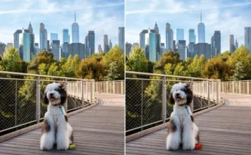 Vidite li ono što drugi ne vide? Testirajte svoje oči i mozak u samo jednoj minuti Vidite li ono što drugi ne vide? Testirajte svoje oči i mozak u samo jednoj minuti