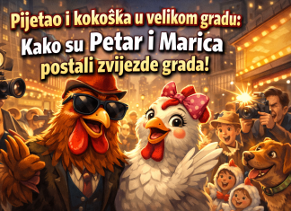 Pijetao i kokoška u velikom gradu: Smiješne zgode i neočekivane avanture „Pijetao i kokoška u velikom gradu: Smiješne zgode i neočekivane avanture“