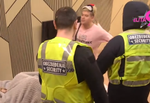 OBEZBEĐENJE HITNO ULETELO!! Opasan sukob u “Eliti”: Uroš Stanić izgubio kontrolu, nastavak slijedi? OBEZBEĐENJE HITNO ULETELO!! Opasan sukob u “Eliti”: Uroš Stanić izgubio kontrolu, nastavak slijedi?