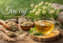 Ljekovita svojstva iva čaja – dar prirode za zdravlje cijelog organizma Ljekovita svojstva iva čaja – dar prirode za zdravlje cijelog organizma