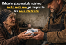 Drhtavim glasom pitala majstora koliko košta krov, pa mu pružila svu svoju ušteđevinu Drhtavim glasom pitala majstora koliko košta krov, pa mu pružila svu svoju ušteđevinu