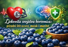 Ljekovita svojstva borovnica: prirodni štit za srce, mozak i imunitet Ljekovita svojstva borovnica: prirodni štit za srce, mozak i imunitet