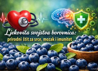 Ljekovita svojstva borovnica: prirodni štit za srce, mozak i imunitet Ljekovita svojstva borovnica: prirodni štit za srce, mozak i imunitet