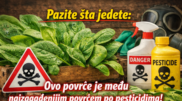Pazite šta jedete:Ovo povće je među najzagađenijim povrćem po pesticidima! Pazite šta jedete:Ovo povće je među najzagađenijim povrćem po pesticidima!