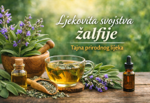 Ljekovita svojstva Žalfije: Tajna prirodnog lijeka Ljekovita svojstva Žalfije: Tajna prirodnog lijeka