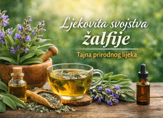 Ljekovita svojstva Žalfije: Tajna prirodnog lijeka Ljekovita svojstva Žalfije: Tajna prirodnog lijeka