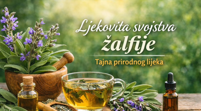 Ljekovita svojstva Žalfije: Tajna prirodnog lijeka Ljekovita svojstva Žalfije: Tajna prirodnog lijeka