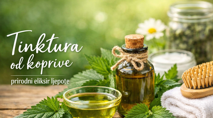 Tinktura od koprive – prirodni eliksir za ljepotu kose, kože i noktiju Tinktura od koprive – prirodni eliksir za ljepotu kose, kože i noktiju