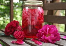 Šerbet od ruže – napitak koji miriše na tradiciju i ljepotu Šerbet od ruže – napitak koji miriše na tradiciju i ljepotu