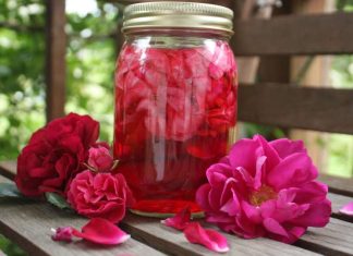 Šerbet od ruže – napitak koji miriše na tradiciju i ljepotu Šerbet od ruže – napitak koji miriše na tradiciju i ljepotu