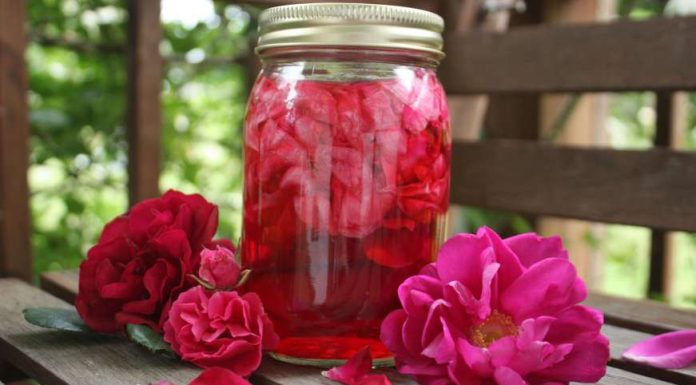 Šerbet od ruže – napitak koji miriše na tradiciju i ljepotu Šerbet od ruže – napitak koji miriše na tradiciju i ljepotu