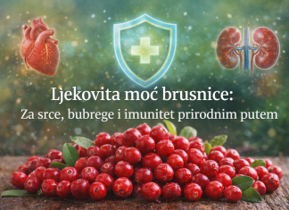 Ljekovita moć brusnice: Za srce, bubrege i imunitet prirodnim putem Ljekovita moć brusnice: Za srce, bubrege i imunitet prirodnim putem