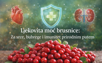 Ljekovita moć brusnice: Za srce, bubrege i imunitet prirodnim putem Ljekovita moć brusnice: Za srce, bubrege i imunitet prirodnim putem