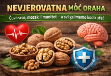 Nevjerovatna moć oraha: Čuva srce, mozak i imunitet – a svi ga imamo kod kuće! Nevjerovatna moć oraha: Čuva srce, mozak i imunitet – a svi ga imamo kod kuće!