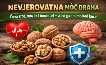 Nevjerovatna moć oraha: Čuva srce, mozak i imunitet – a svi ga imamo kod kuće! Nevjerovatna moć oraha: Čuva srce, mozak i imunitet – a svi ga imamo kod kuće!