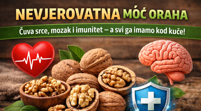 Nevjerovatna moć oraha: Čuva srce, mozak i imunitet – a svi ga imamo kod kuće! Nevjerovatna moć oraha: Čuva srce, mozak i imunitet – a svi ga imamo kod kuće!