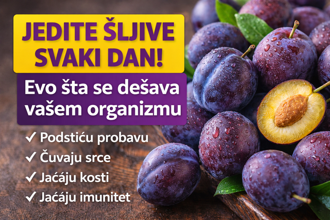Jedite šljive svaki dan! Evo šta se dešava vašem organizmu