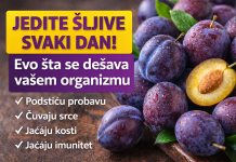Jedite šljive svaki dan! Evo šta se dešava vašem organizmu Jedite šljive svaki dan! Evo šta se dešava vašem organizmu