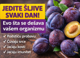 Jedite šljive svaki dan! Evo šta se dešava vašem organizmu Jedite šljive svaki dan! Evo šta se dešava vašem organizmu