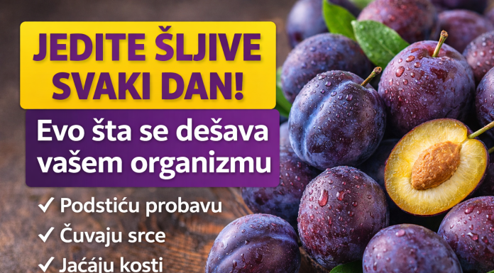 Jedite šljive svaki dan! Evo šta se dešava vašem organizmu Jedite šljive svaki dan! Evo šta se dešava vašem organizmu