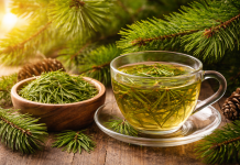 Čudesna moć borovih iglica: Prirodni lijek koji jača imunitet i čisti pluća Čudesna moć borovih iglica: Prirodni lijek koji jača imunitet i čisti pluća