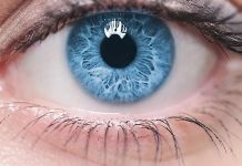 Nauka potvrdila: Plave oči nisu slučajnost, već nasljeđe jednog pretka