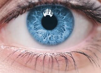 Nauka potvrdila: Plave oči nisu slučajnost, već nasljeđe jednog pretka