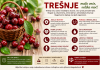 Malo voće, velika moć: Nevjerovatna ljekovita svojstva trešanja! Malo voće, velika moć: Nevjerovatna ljekovita svojstva trešanja!