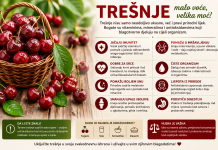 Malo voće, velika moć: Nevjerovatna ljekovita svojstva trešanja! Malo voće, velika moć: Nevjerovatna ljekovita svojstva trešanja!