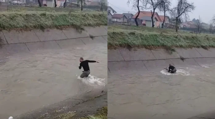 Heroj iz Bosne: Mladić skočio u nabujalu rijeku i spasio srnu