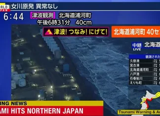 JAPAN NA UDARU: Zemljotres pokrenuo cunami, građani u stanju pripravnosti