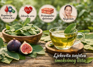 Ljekovita svojstva smokvinog lista – prirodni saveznik zdravlja Ljekovita svojstva smokvinog lista – prirodni saveznik zdravlja