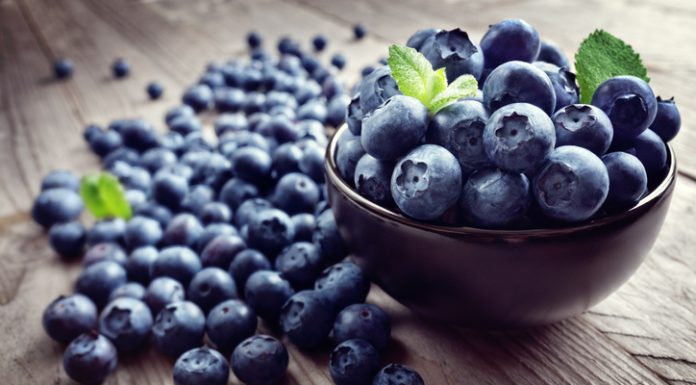 Male, ali moćne: Borovnice kao prirodna zaštita za krvni pritisak i imunitet