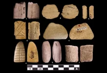 Naučnik otkriva: Indijanci „kockali“ davno prije civilizacija Starog svijeta