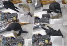 Prodavačica ga savladala, ali policija još nije uhapsila: Pljačkaš iz Mostara i dalje u bijegu