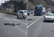 TRAGEDIJA KOD NOVOG PAZARA: Djevojčica izgubila život nakon sudara s automobilom