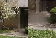 UBISTVO U SARAJEVU KOJE JE UZNEMIRILO NASELJE: Komšije u šoku nakon hapšenja