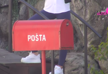 SUNČICA POVUKLA POTEZ KOJI MENJA SVE: Evo ko je ovi vođa, pa napravila haos! SUNČICA POVUKLA POTEZ KOJI MENJA SVE: Evo ko je ovi vođa, pa napravila haos!