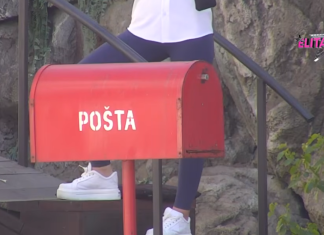 SUNČICA POVUKLA POTEZ KOJI MENJA SVE: Evo ko je ovi vođa, pa napravila haos! SUNČICA POVUKLA POTEZ KOJI MENJA SVE: Evo ko je ovi vođa, pa napravila haos!