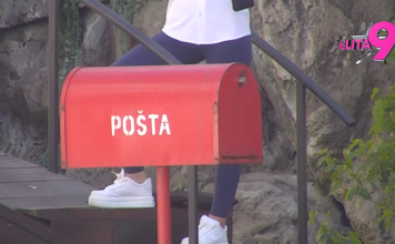 SUNČICA POVUKLA POTEZ KOJI MENJA SVE: Evo ko je ovi vođa, pa napravila haos! SUNČICA POVUKLA POTEZ KOJI MENJA SVE: Evo ko je ovi vođa, pa napravila haos!